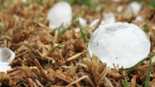 L’arboriculture, la viticulture et le maraîchage sont particulièrement touchés par la grêle du samedi 15 juin 2019. ©Chambre d’agriculture d’Isère